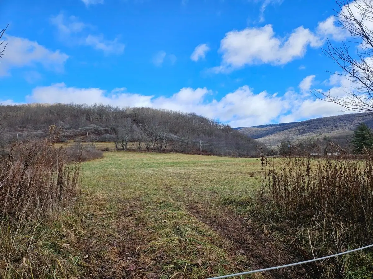 Cass Rd., Slatyfork, WV 26291 - #1