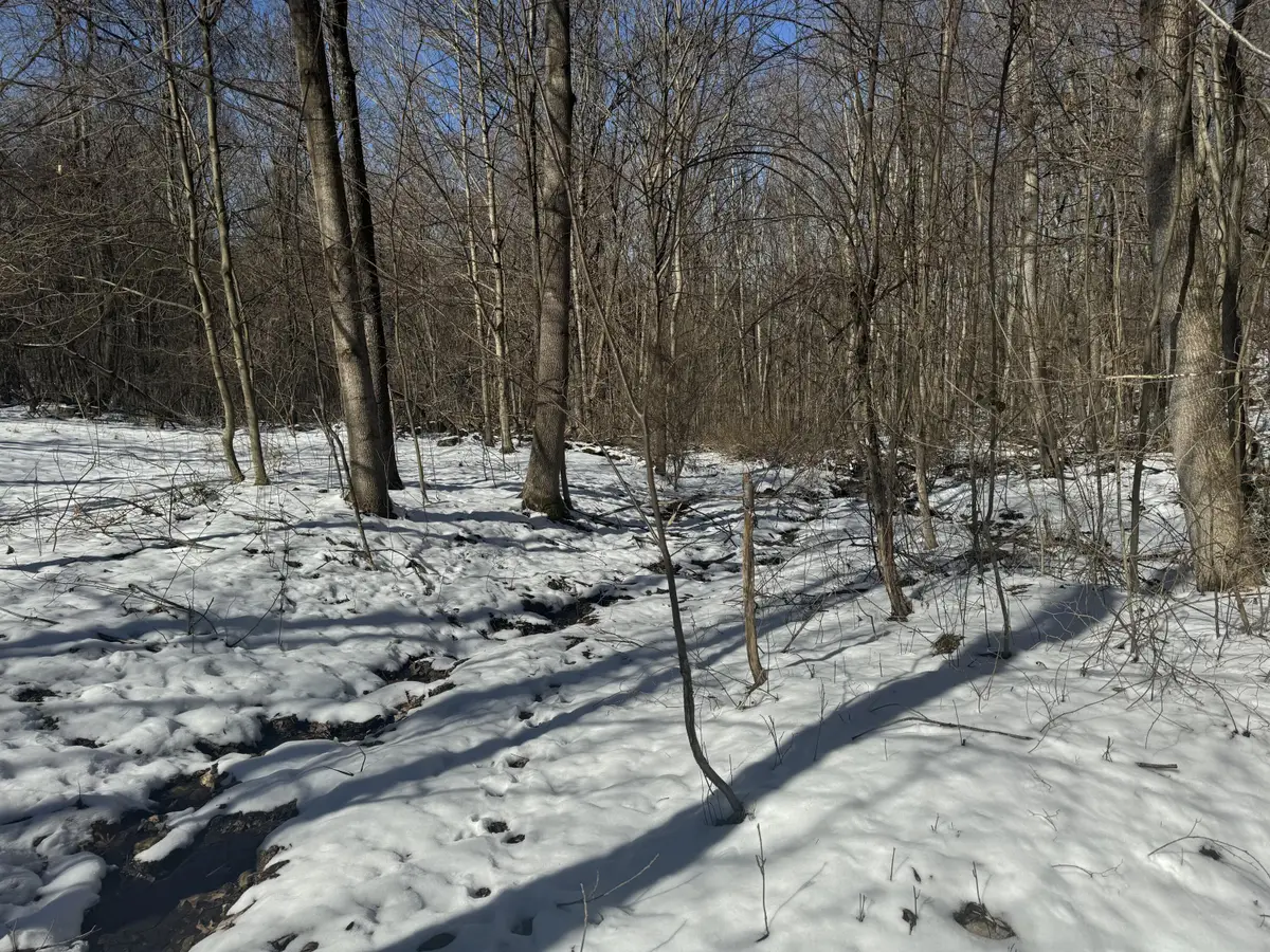 1145 Chestnut Ridge Rd, Moatsville, WV 26405 - Image #1