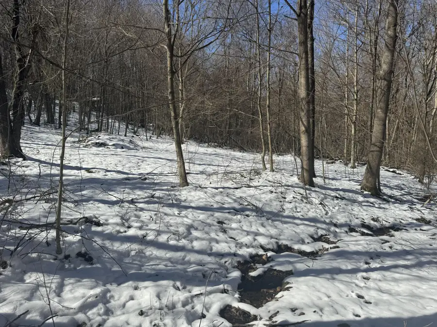 1145 Chestnut Ridge Rd, Moatsville, WV 26405 - Image #2