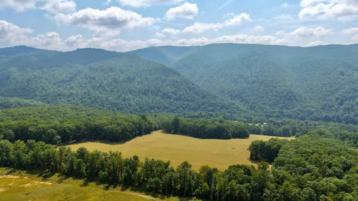 216 Bald Hills Farm Ln, Lewisburg, WV 24901 - #1