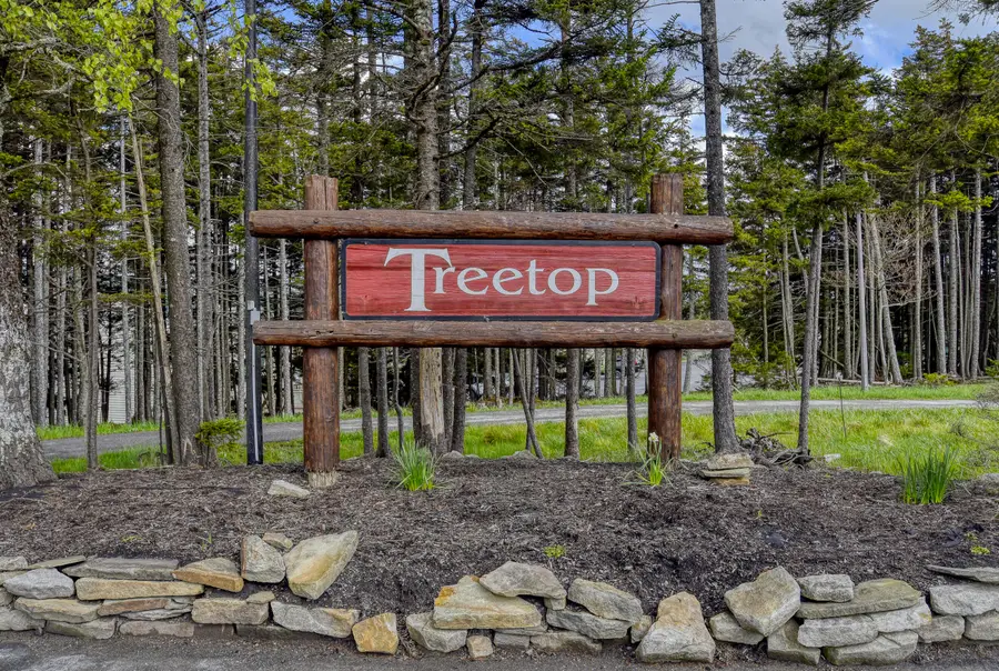 93 Treetop St., Snowshoe, WV 26209 - #3