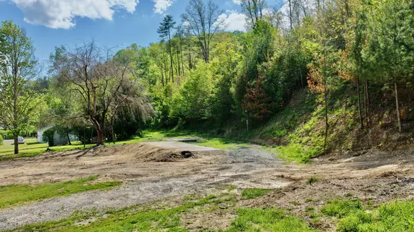 8991 Jones Mountain, Union, WV 24983