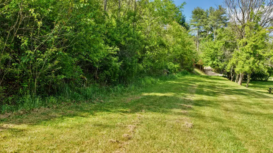 8991 Jones Mountain, Union, WV 24983 - #3