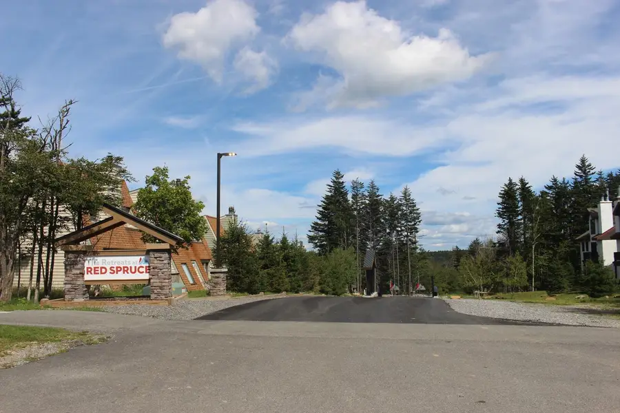 246 Red Spruce Dr, Snowshoe, WV 26209 - #2