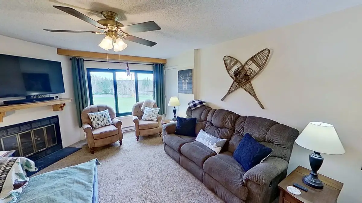 2310 Silver Creek, Snowshoe, WV 26209 - #1