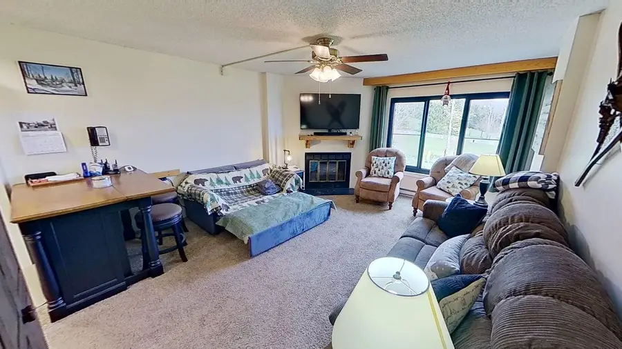2310 Silver Creek, Snowshoe, WV 26209 - #2
