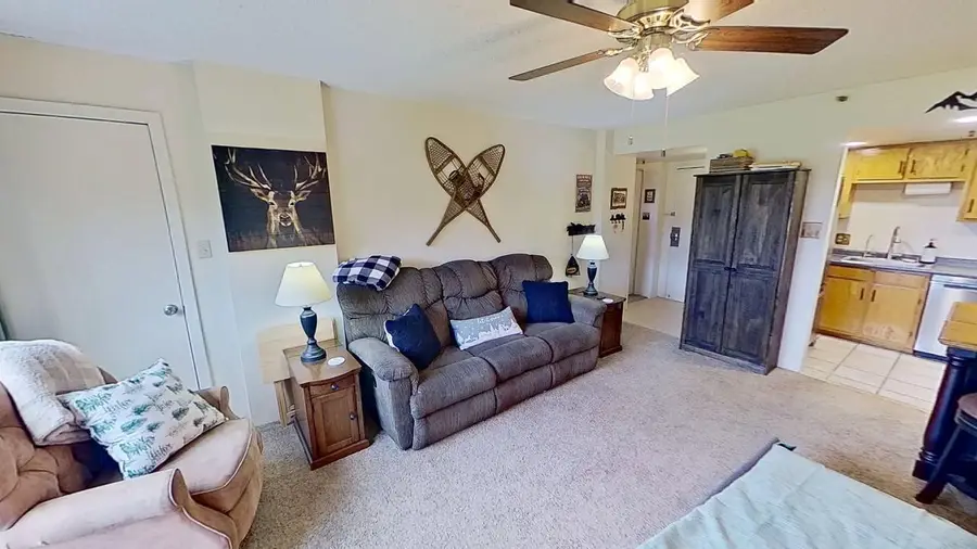 2310 Silver Creek, Snowshoe, WV 26209 - #3