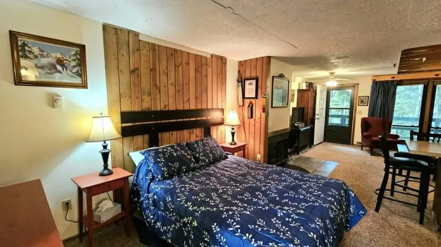 42 Ridgewood St., Snowshoe, WV 26209 - #2