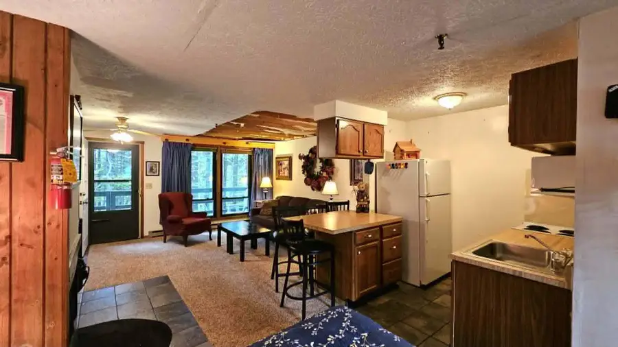 42 Ridgewood St., Snowshoe, WV 26209 - #3