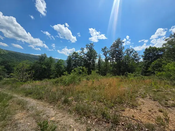 Tbd Seneca Trl S, Peterstown, WV 24963