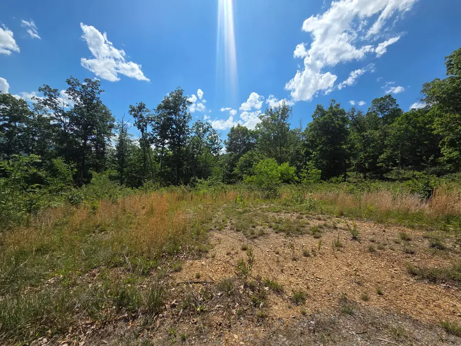 Tbd Seneca Trl S, Peterstown, WV 24963 - #2
