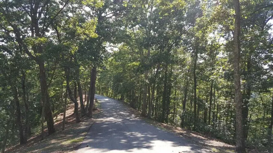 Lot 23 Wildwood Rdg, Caldwell, WV 24925 - #3