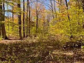 34-37 North Woods, Snowshoe, WV 26209 - #2