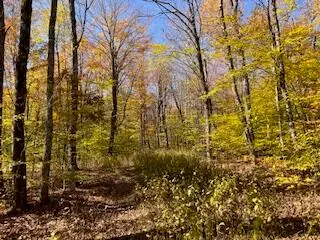 34-37 North Woods, Snowshoe, WV 26209 - #3