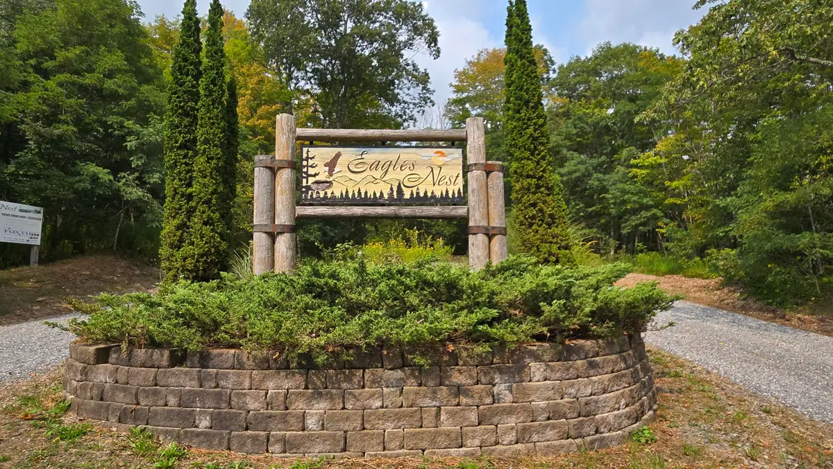 Lot 17 Eagles Nest, Snowshoe, WV 26209 - #1
