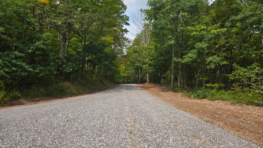 Lot 17 Eagles Nest, Snowshoe, WV 26209 - #3