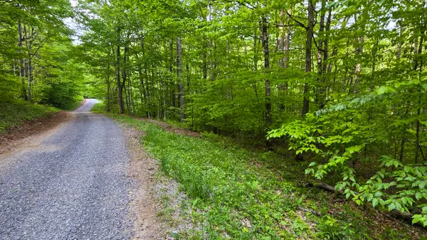 Lot 14 Roberts Ridge, Slatyfork, WV 26291