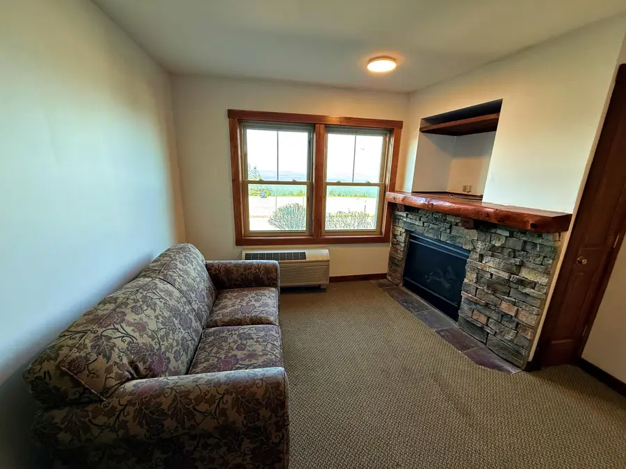 148 Rimfire, Snowshoe, WV 26209 - #2