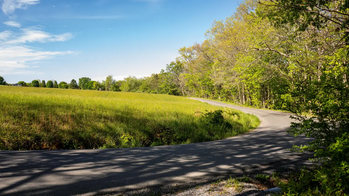 Coleman Cliff, Frankford, WV 24938 - #1