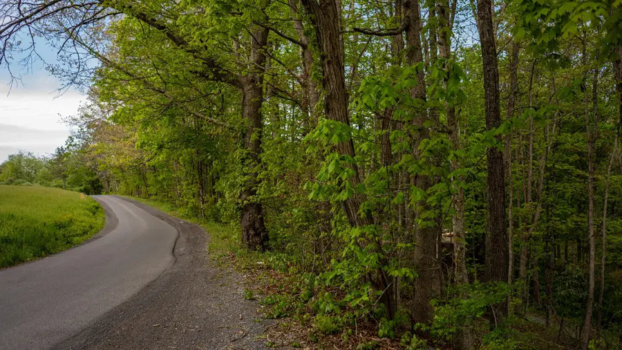 Coleman Cliff, Frankford, WV 24938 - #3