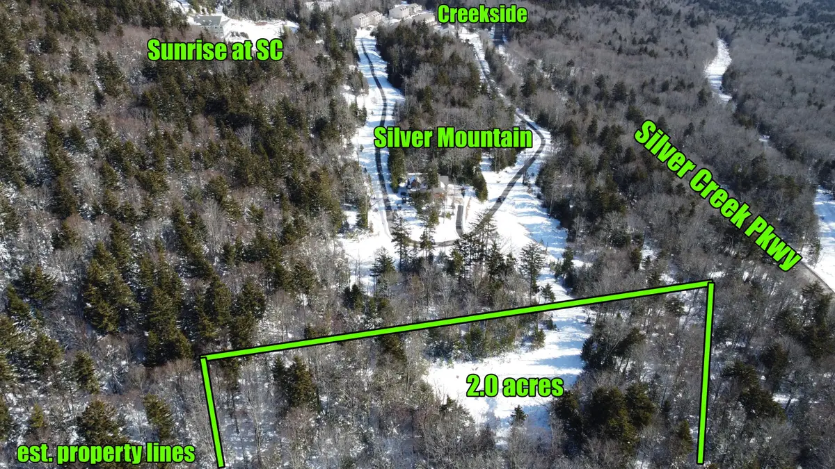 Silver Creek Parkway, Snowshoe, WV 26209 - #1