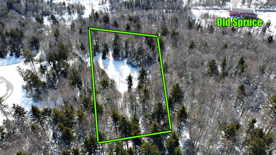 Silver Creek Parkway, Snowshoe, WV 26209 - #3