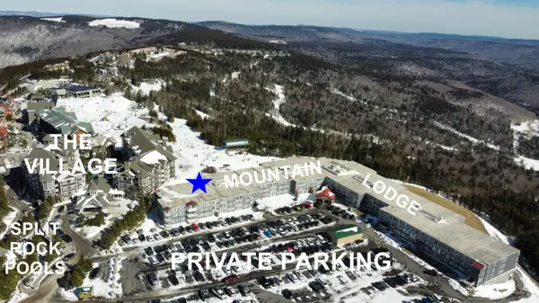 343 Mountain Lodge, Snowshoe, WV 26209