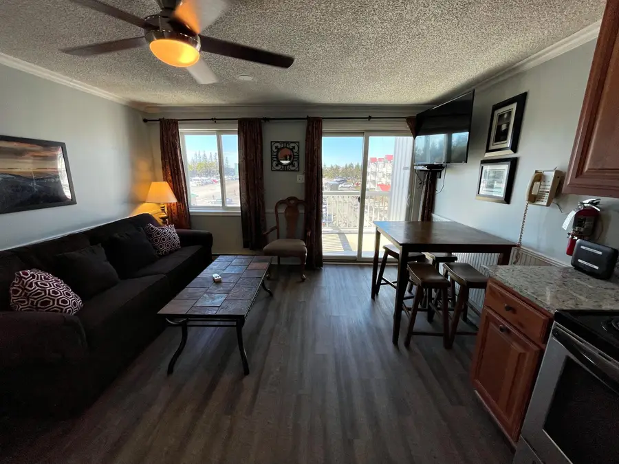 345 Mountain Lodge, Snowshoe, WV 26209 - #3