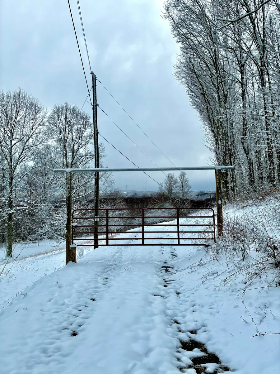 1061 Peaser Road, Leivasy, WV 26676 - Image #2