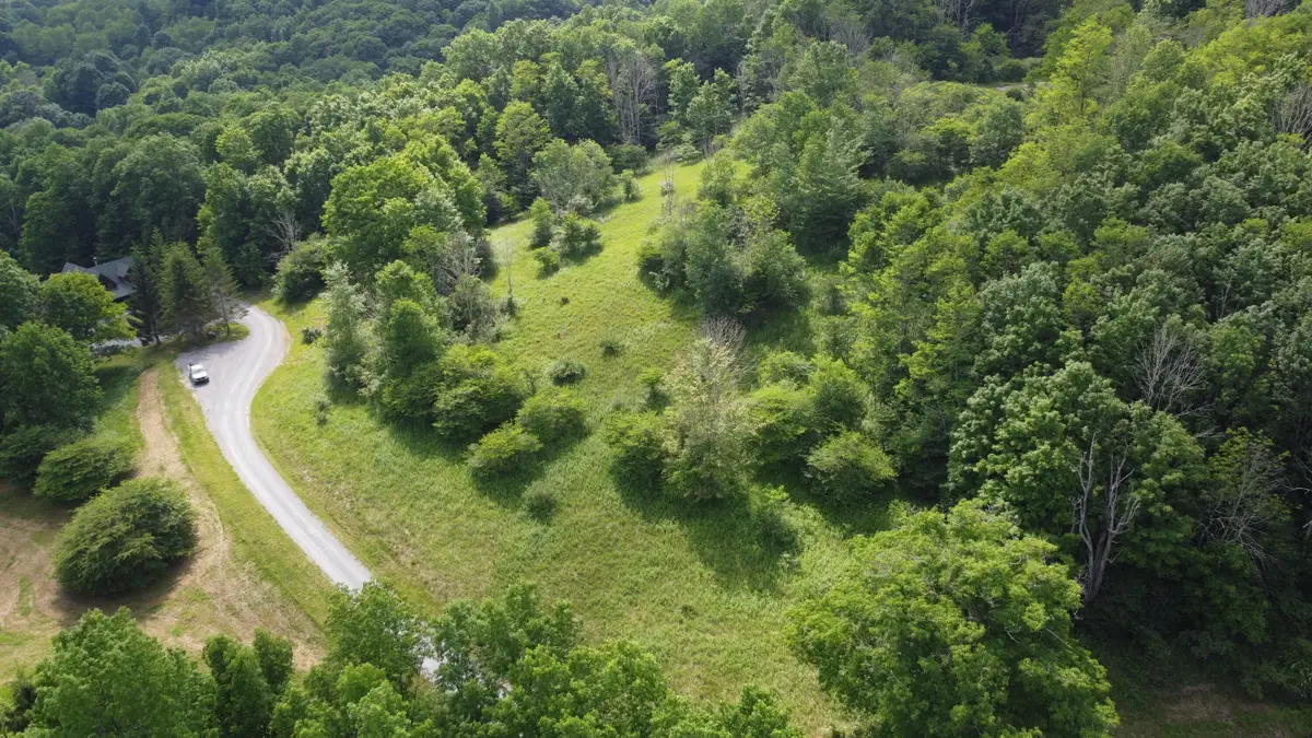 206 Sunset Pass Rd, Slatyfork, WV 26291 - #1