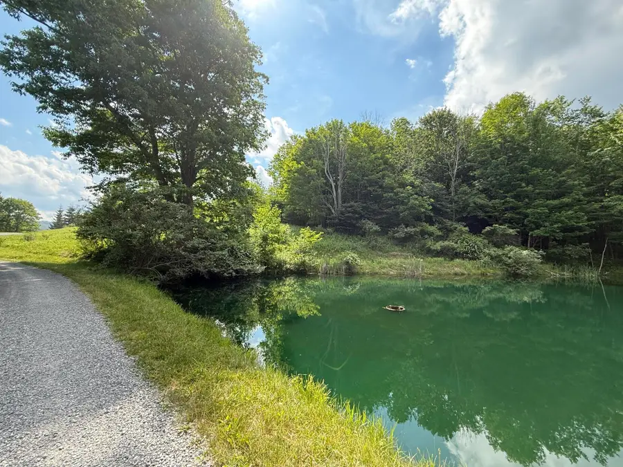 206 Sunset Pass Rd, Slatyfork, WV 26291 - #2