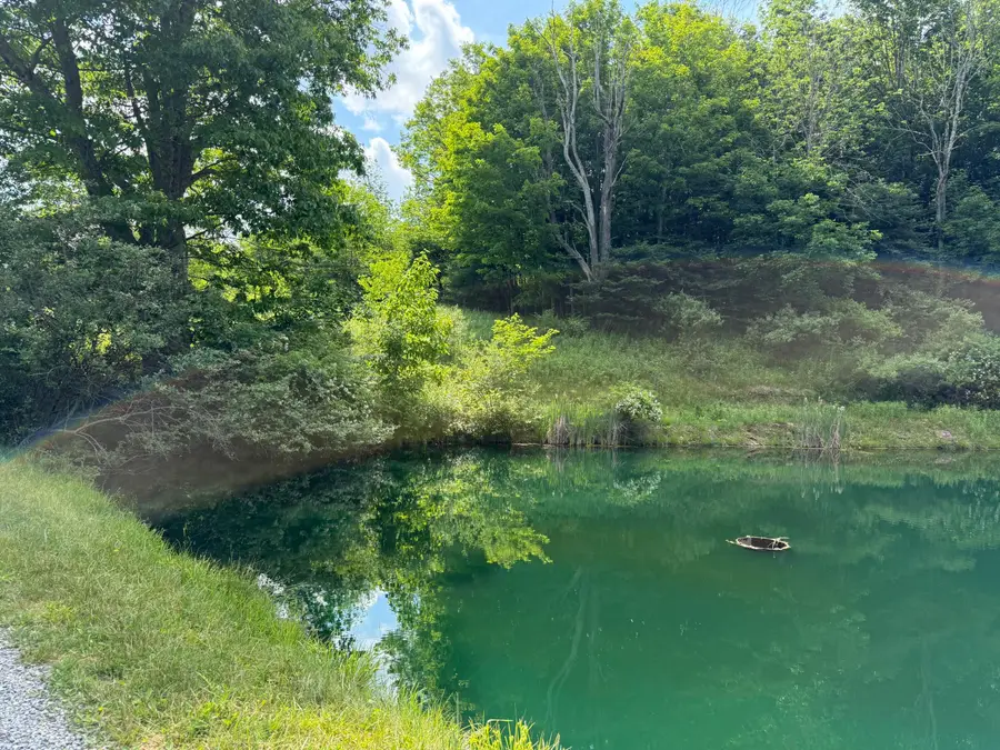 206 Sunset Pass Rd, Slatyfork, WV 26291 - #3