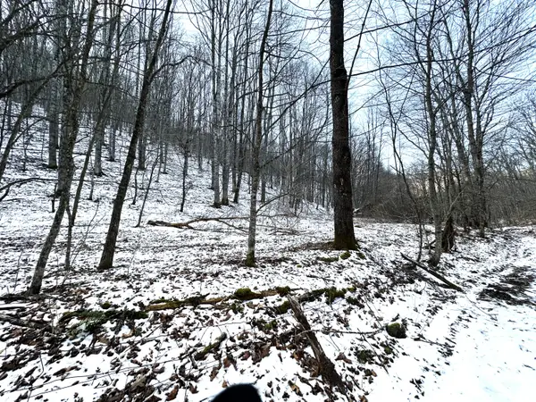 Toms Run, Renick, WV 24966