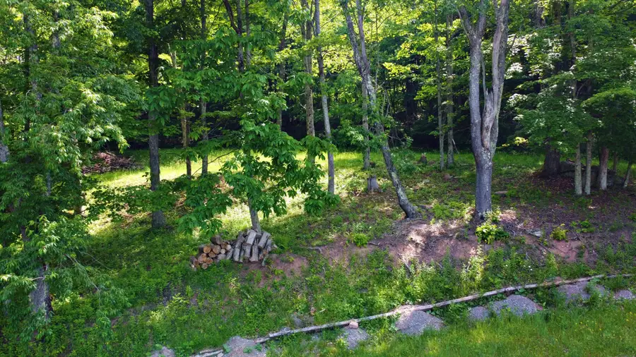 215 Hideaway Trail, Slatyfork, WV 26291 - #2