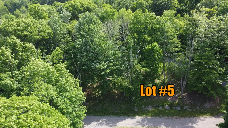215 Hideaway Trail, Slatyfork, WV 26291 - #3