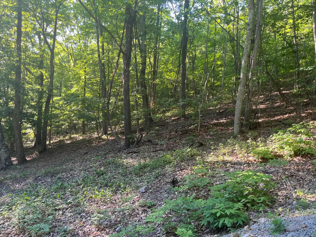 34 Wild Wood Ridge, Caldwell, WV 24925 - #1