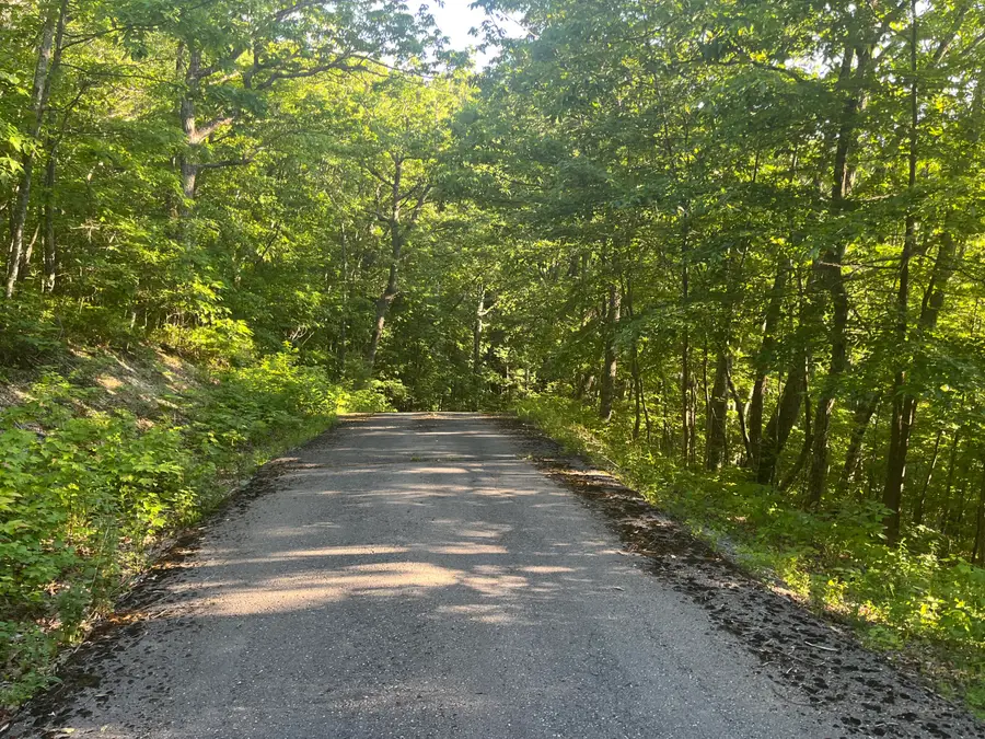 34 Wild Wood Ridge, Caldwell, WV 24925 - #2