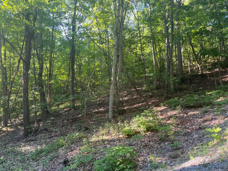 34 Wild Wood Ridge, Caldwell, WV 24925 - #3