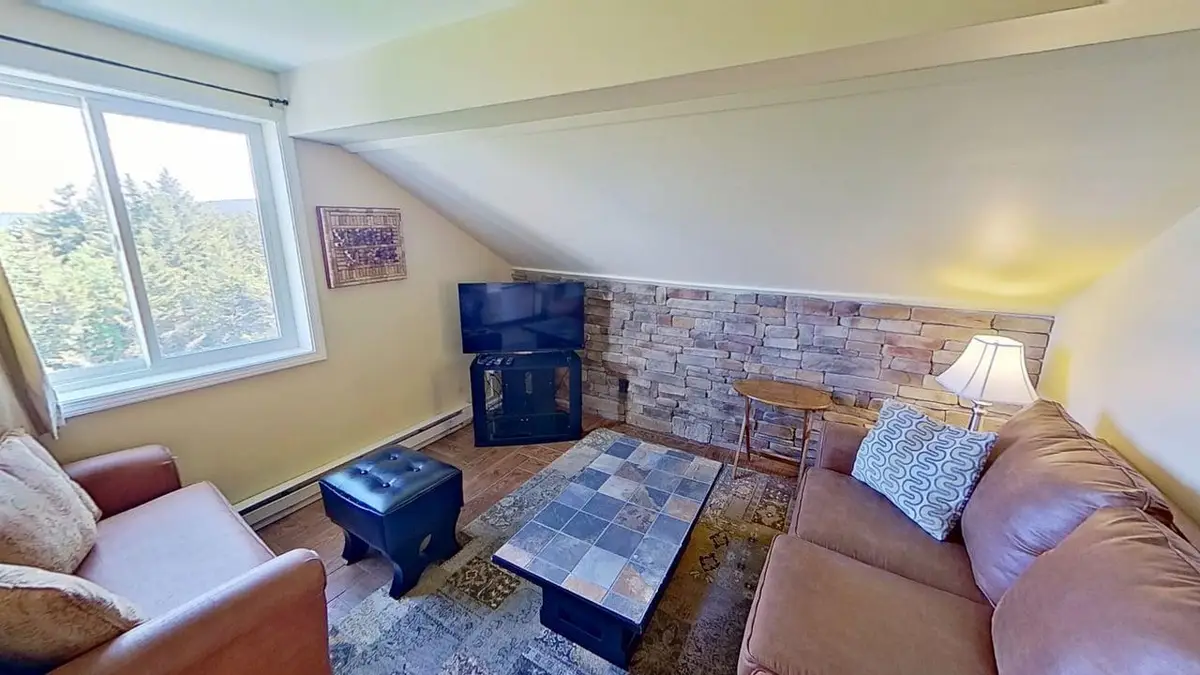 369 Mountain Lodge, Snowshoe, WV 26209 - #1