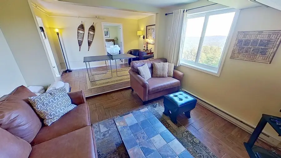 369 Mountain Lodge, Snowshoe, WV 26209 - #2