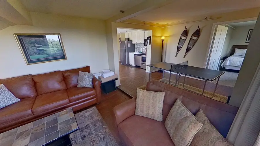 369 Mountain Lodge, Snowshoe, WV 26209 - #3