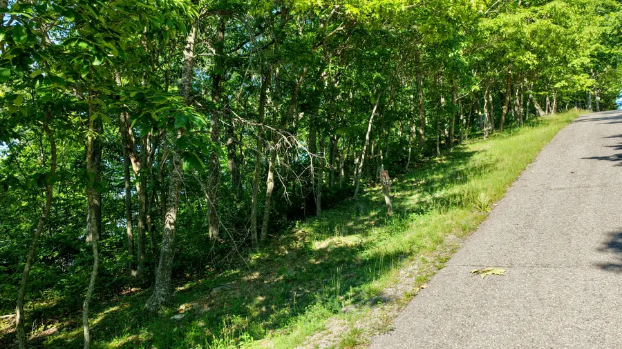 Lot #84; White Rock Trail, Caldwell, WV 24925 - #3