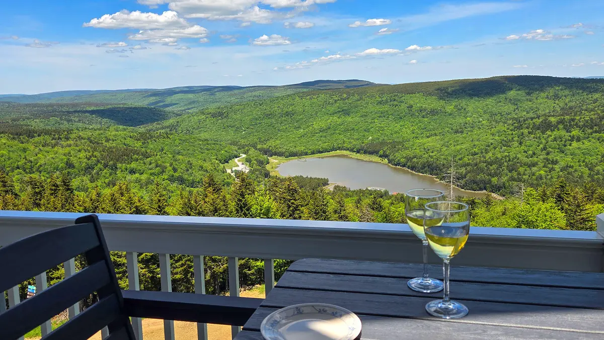 350 Mountain Lodge, Snowshoe, WV 26209 - #1