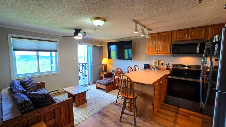 350 Mountain Lodge, Snowshoe, WV 26209 - #2