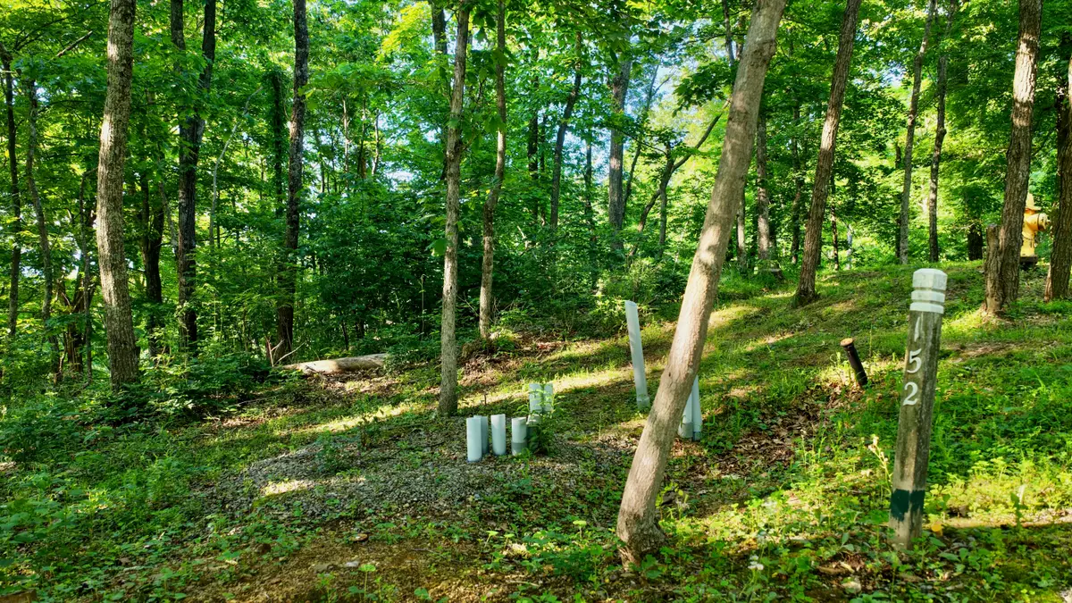 Withrow Landing, Caldwell, WV 24925 - #1
