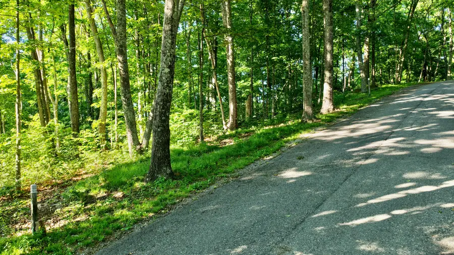 Withrow Landing, Caldwell, WV 24925 - #3