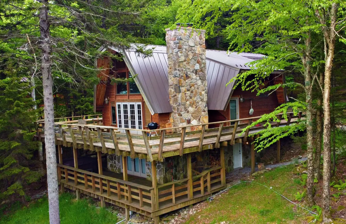 1115 N. West Ridge Rd, Snowshoe, WV 26209 - #1