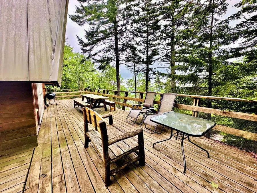 1115 N. West Ridge Rd, Snowshoe, WV 26209 - #3