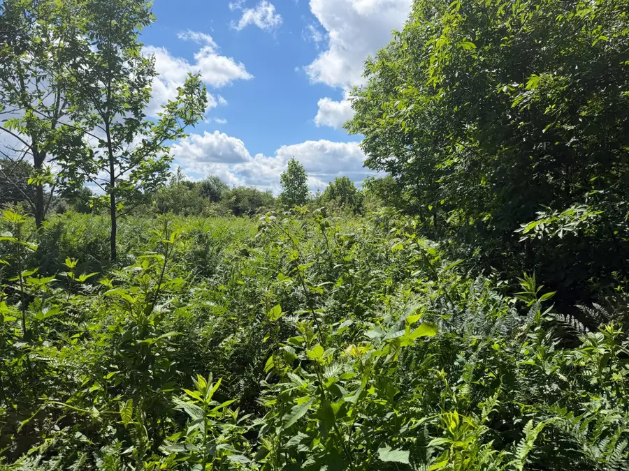 Settlement Drive, Charmco, WV 25958 - #2