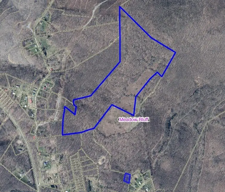 Settlement Drive, Charmco, WV 25958 - #3